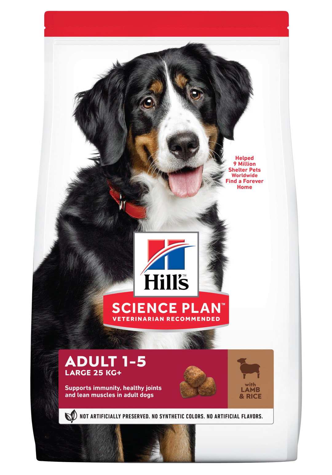 Hill's Science Plan Adult Large Breed lam & rijst 12 kg